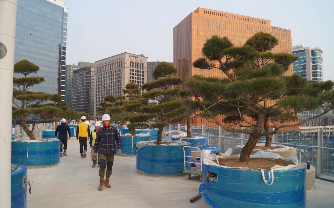 Skygarden Seoul nadert voltooiing